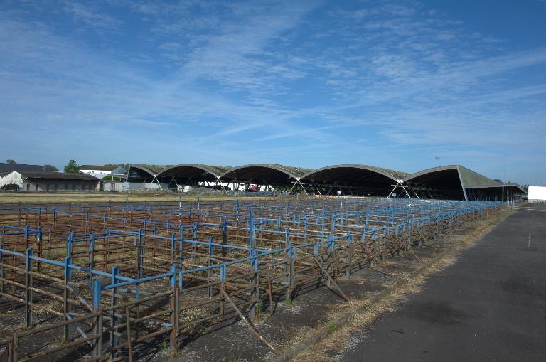 Marché aux bestiaux, l'Aumaillerie (La Selle-en-Luitré)