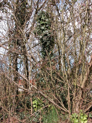 Croix de chemin, Gonois (Gévezé)