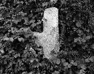 Croix de chemin, Lochrist (Plounévez-Lochrist)