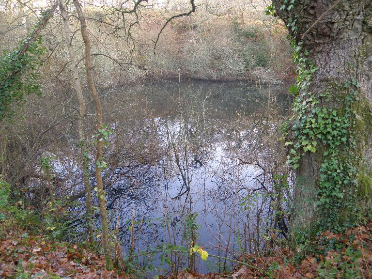 Ardoisière de Saint-Mélan (Porcaro)