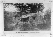 Allée couverte dite de Roherman ou de Roermand ou niche à Gobineau ou hutte à Gobineau (Augan)