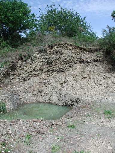 Carrière de schiste ardoisier, Lorinou (Saint-Gonlay)
