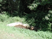 Lavoir, près de Tréau Corbinières (Langon)