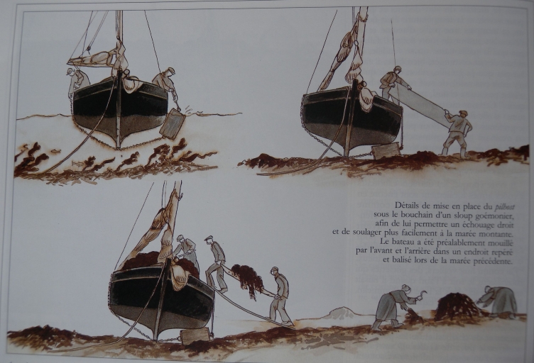 Outil de goémonier : civière