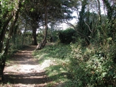 Sentier littoral (Trégastel)