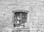 Maison, Troguern (Brandivy)