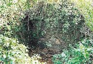 Kanndi de Kergestin (Tréflévénez)