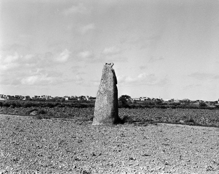 Menhir, à 500 m au nord d'Irvit (Plouescat)