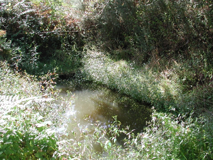 Lavoir (?), près de la Groussinais (Sainte-Marie)