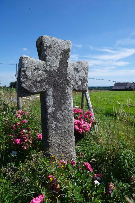 Croix de chemin, la croix du Chêne (Saint-Carné)