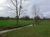 Présentation de la commune de Dourdain