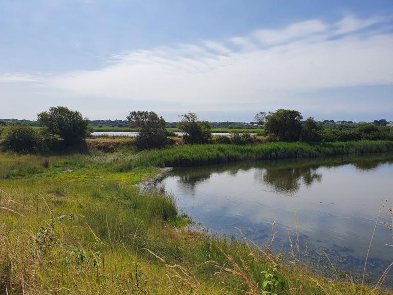 Le marais de Pen Mané (Locmiquélic)