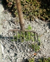 Fourche à cailloux pour la marne