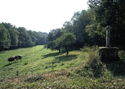 Croix de chemin, près de la Villeneuve (Guénin)