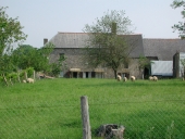 Ferme, la Haye (Combourg)