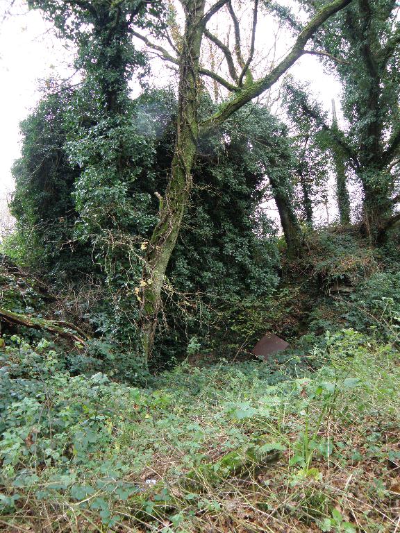 Ardoisière de Bronolo (Motreff)