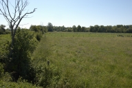 Marais salants de la Goutte ou de Maléquerre (Saint-Suliac)