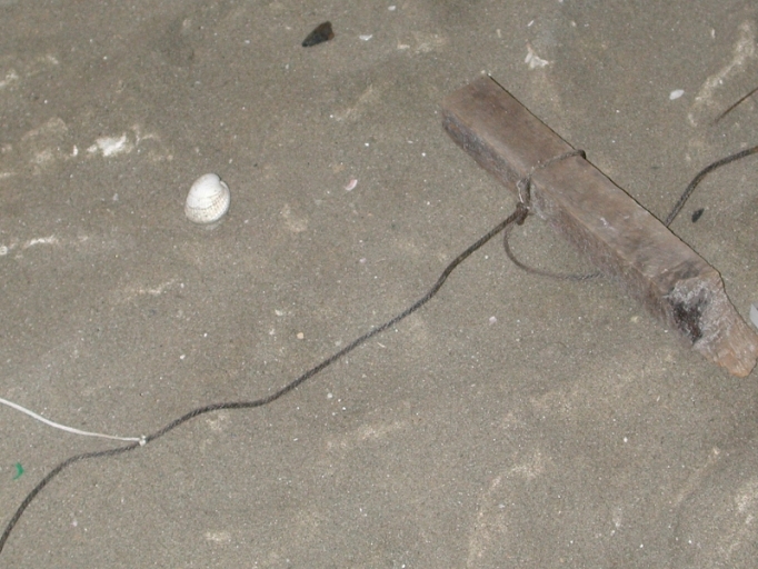 Outil de pêche à pied : ligne de fond (Harouelle)