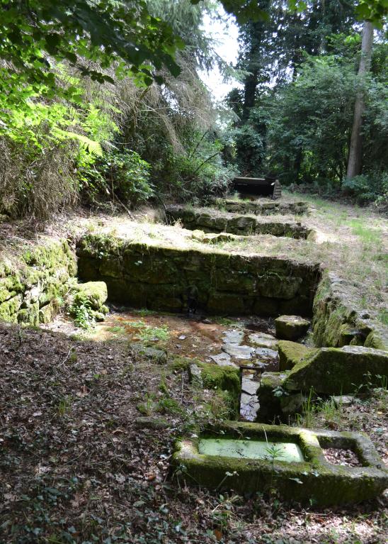 Blandierie des Sarrasins, proche du lieu-dit La Pommeraie (Le Foeil)