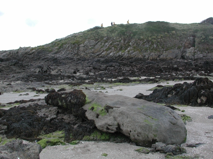 Menhir Duédal, Pointe du Chevet (Saint-Jacut-de-la-Mer)