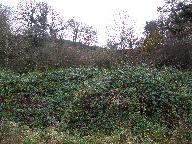 Ardoisière de Tréveller (Motreff)