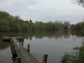 Moulin à eau, actuellement maison, le Bas Tertrais (Pleugueneuc)