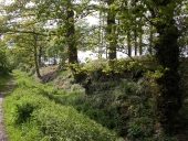 Manoir détruit, ferme, Champalaune (Pacé)