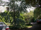 Maison, le Plessis (Loudéac)