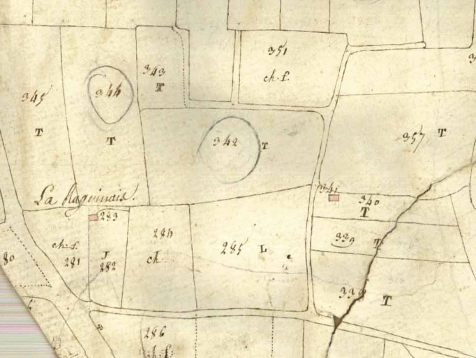 Écart, la Raguinais (Domalain)