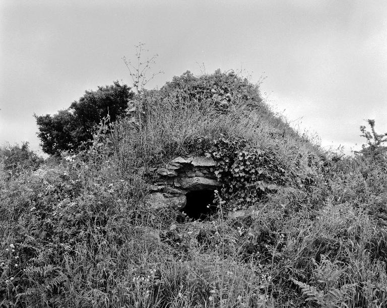 Édicule non identifié, Kervren (Tréflez)