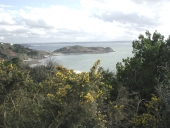 Paysage dit pointe de Bihit (Trébeurden)