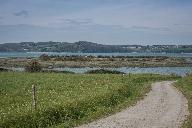 Enceinte dite l'Huitrière, anse de Vigneux (Saint-Suliac)