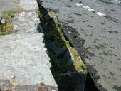 Latrines du Vieux quai, Quai Tristan Corbière, le Port (Roscoff)