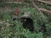 Fontaine de dévotion Saint-Haran (Plestin-les-Grèves)