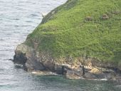 Cale Saint-Nicolas, Cap de la Chèvre (Crozon)