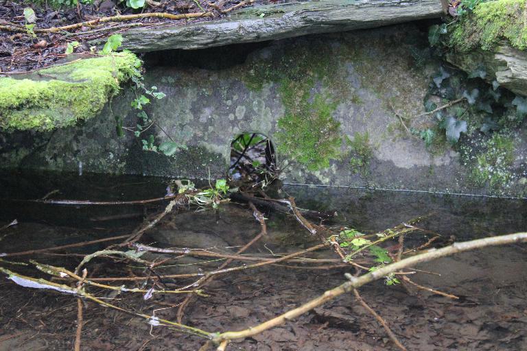 Kanndi de Bodeniry (Saint-Thégonnec Loc-Eguiner)
