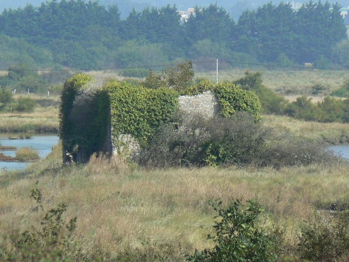 Grenier à sel dit salorge de Michotte (Séné)