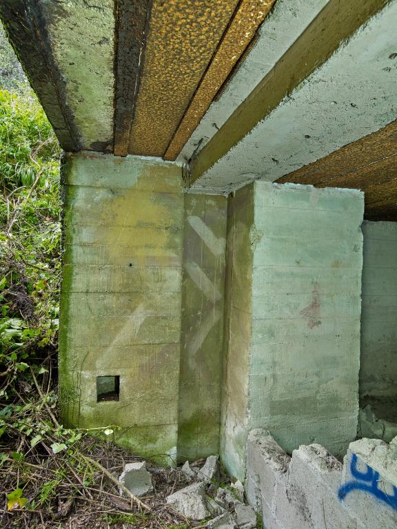 Bunker - casemate de type 612 pour un canon de campagne ou obusier de 7,62 cm ou 10,5 cm, Domaine de la Tour de Cesson, rue de la Tour (Saint-Brieuc)