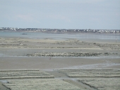 Exploitation conchylicole (Saint-Jacut-de-la-Mer)