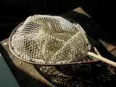 Havenet (Planguenoual fusionnée en Lamballe-Armor en 2019)