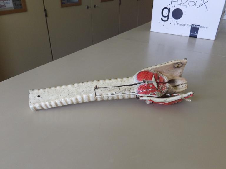 Collections pédagogiques du Lycée Auguste Brizeux, 6 Rue Bourg les Bourgs (Quimper)