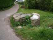 Puits, le Rosédo (île de Bréhat)