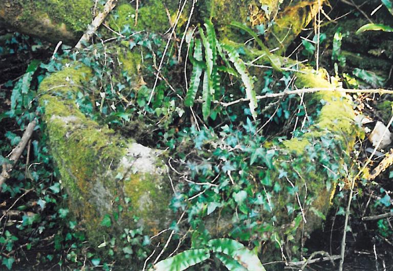 Kanndi de Pen ar Prat (Irvillac)