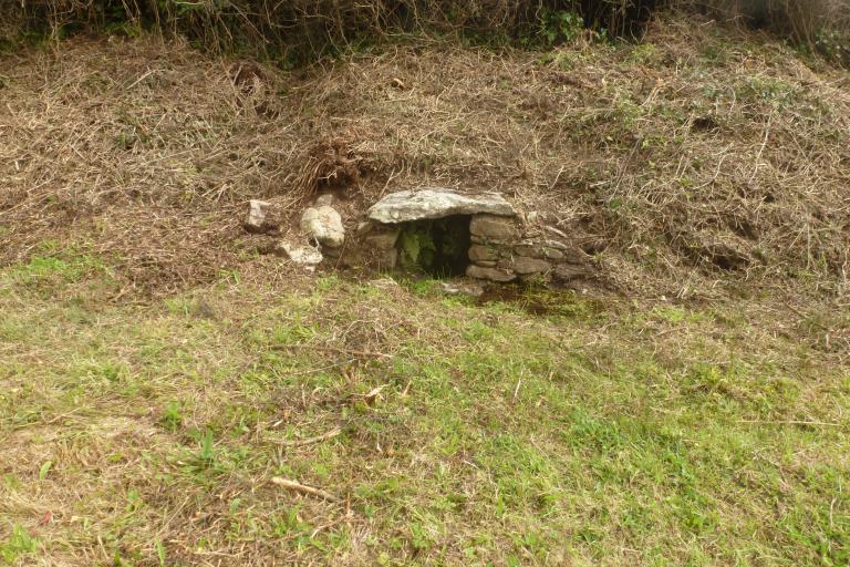 Fontaine Saint-Primel (Primelin)