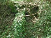 Abri double n° 6 (Inachevé), Pointe de Penn-al-Lann (Carantec)