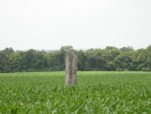Menhir dit La Pierre du Domaine, La Prioutais (Plerguer)