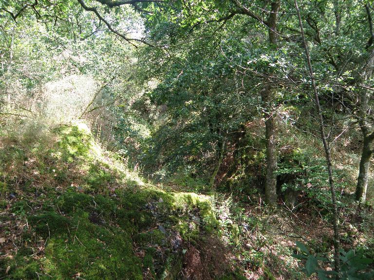 Ardoisières du canton de Mûr-de-Bretagne