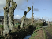 Écart, le Pont (Lanhélin fusionnée en Mesnil-Roc'h en 2019)