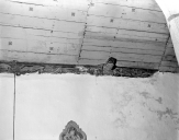 Décor de charpente : 14 sablières, 8 blochets et 9 poinçons