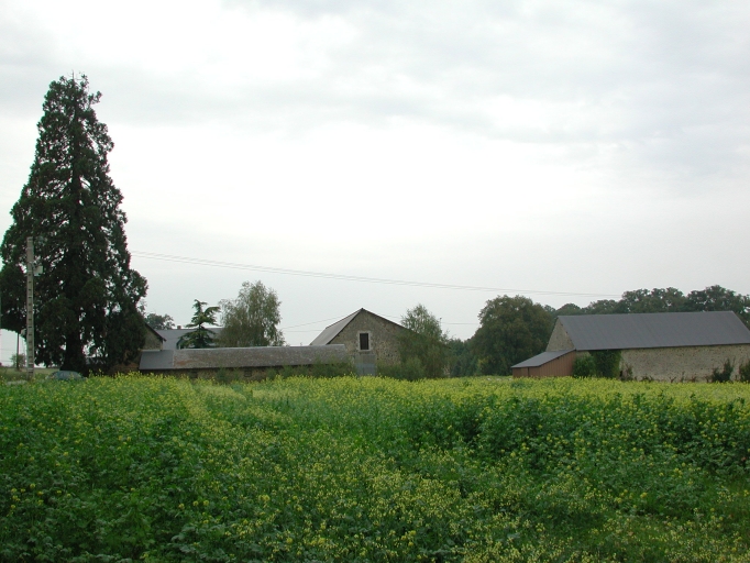 Ferme, actuellement maison, la Grande Motte (Gennes-sur-Seiche)